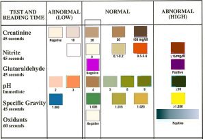 Urine Test Strips Results Chart